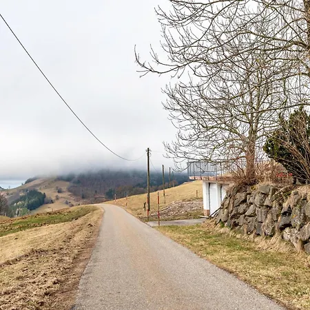Landliebe Apartamento Münstertal